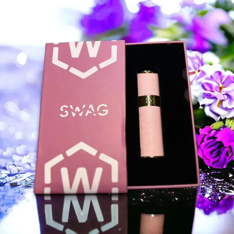 SWAG皮革主機顏色推薦